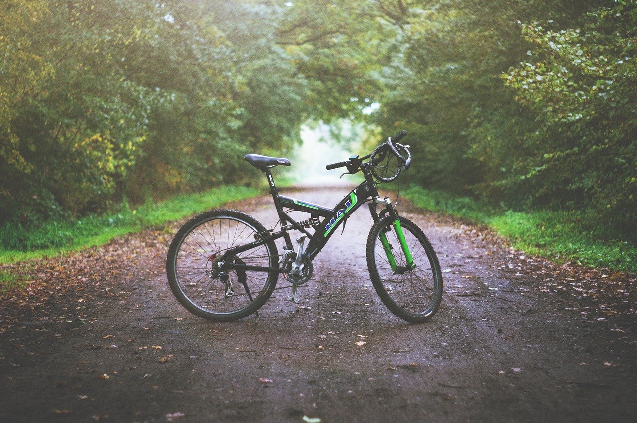 mountain bike, dirt road, wet