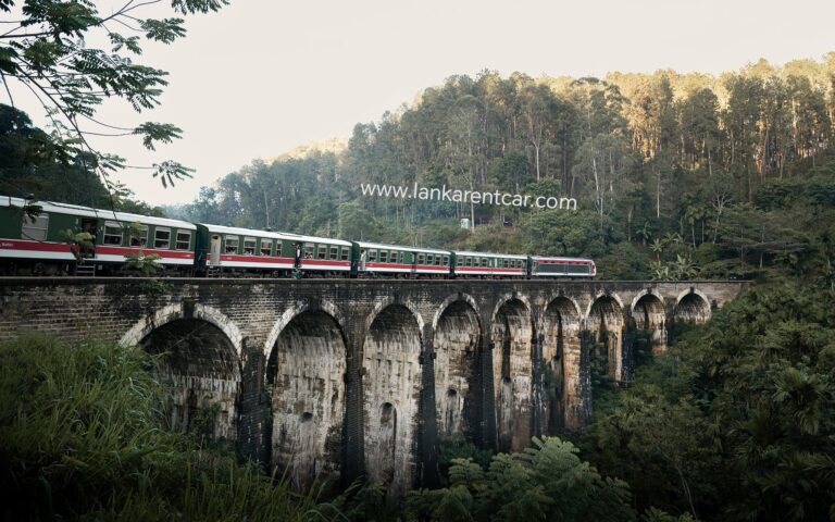Scenic arched stone bridge surrounded by lush greenery in Sri Lanka