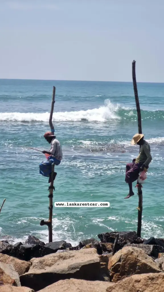Traditional fishing at Weligama