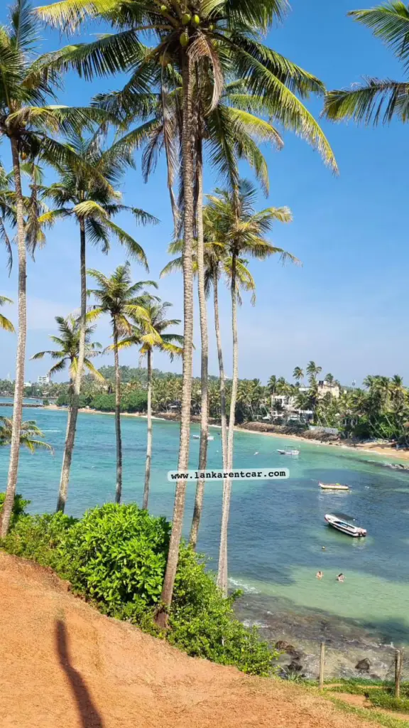 Coconut beach Mirissa 