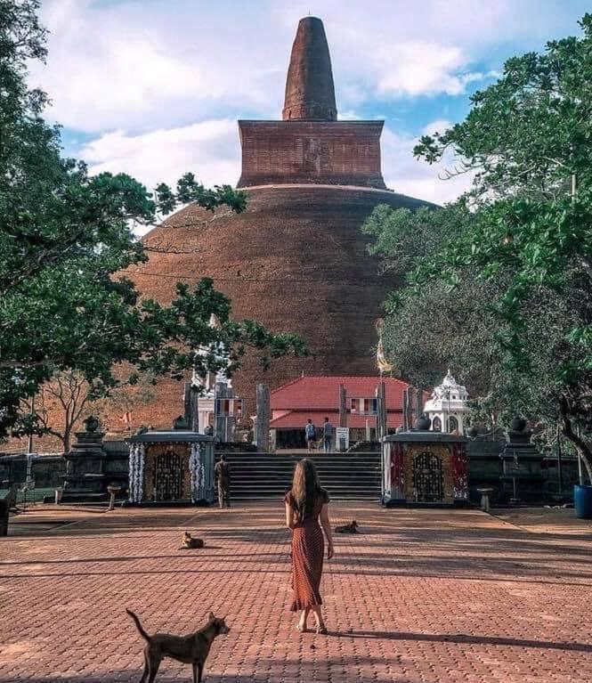 Explore Sri Lanka with Lanka Rent a Car.