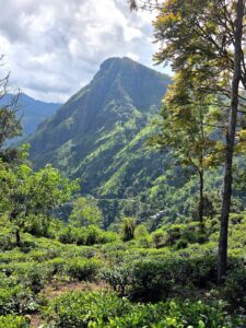 Ella viewpoint with Lanka Rent a Car vehicle – scenic Sri Lanka travel experience