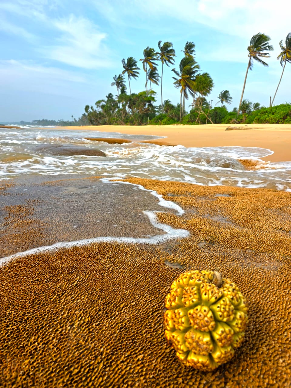 Colombo to Galle