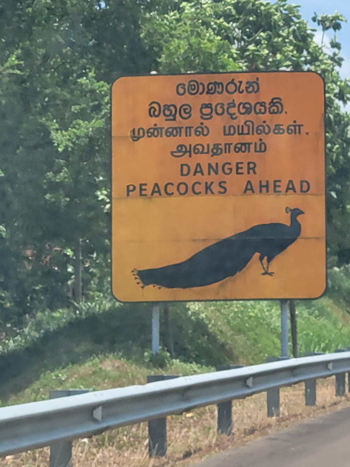 Danger peacock road sign Sri Lanka travel with Lanka Rent a Car