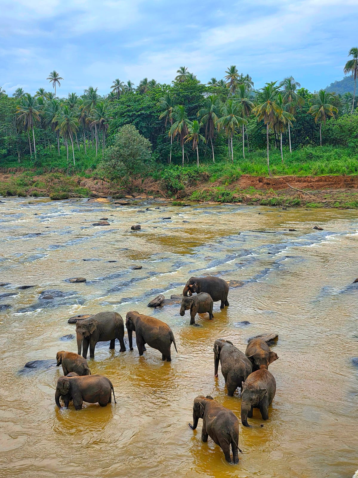 Colombo to Kandy
