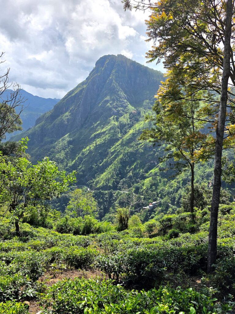 Ella Gap Sri Lanka scenic drive with Lanka Rent a Car chauffeur and rental service