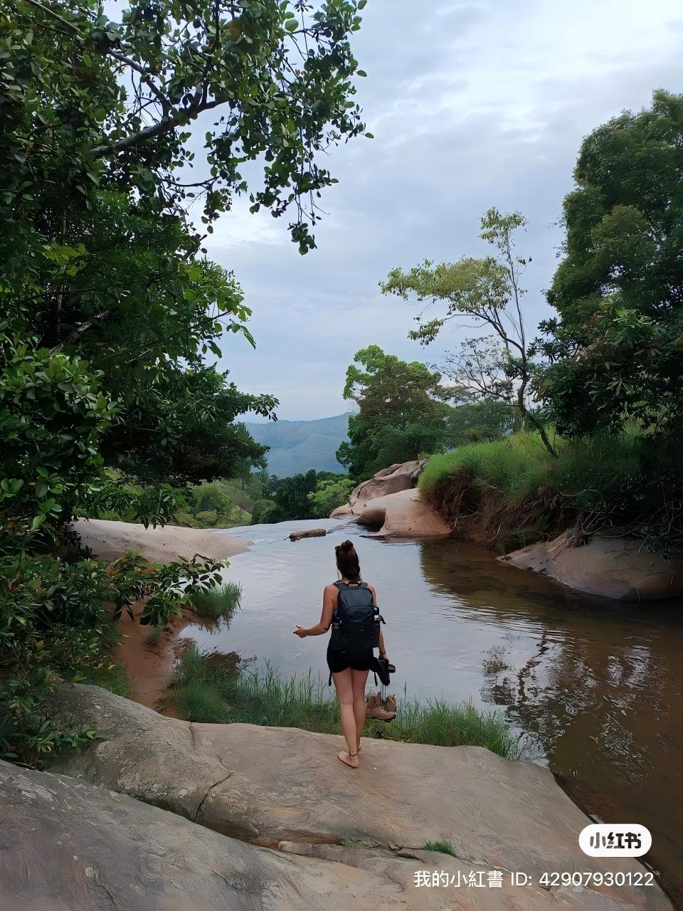 Safari booking Sri Lanka jeep tour